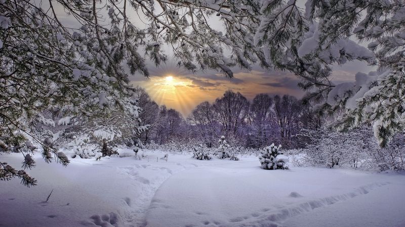 Уходящий день фото превью