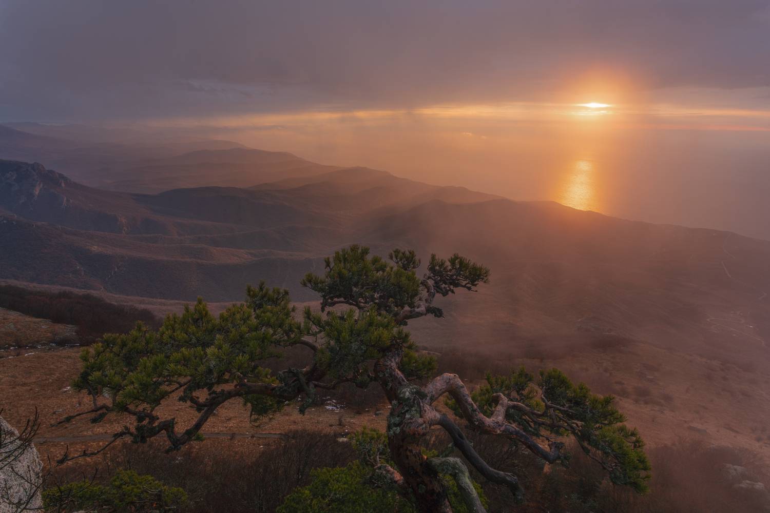 , Юлия Мальцева