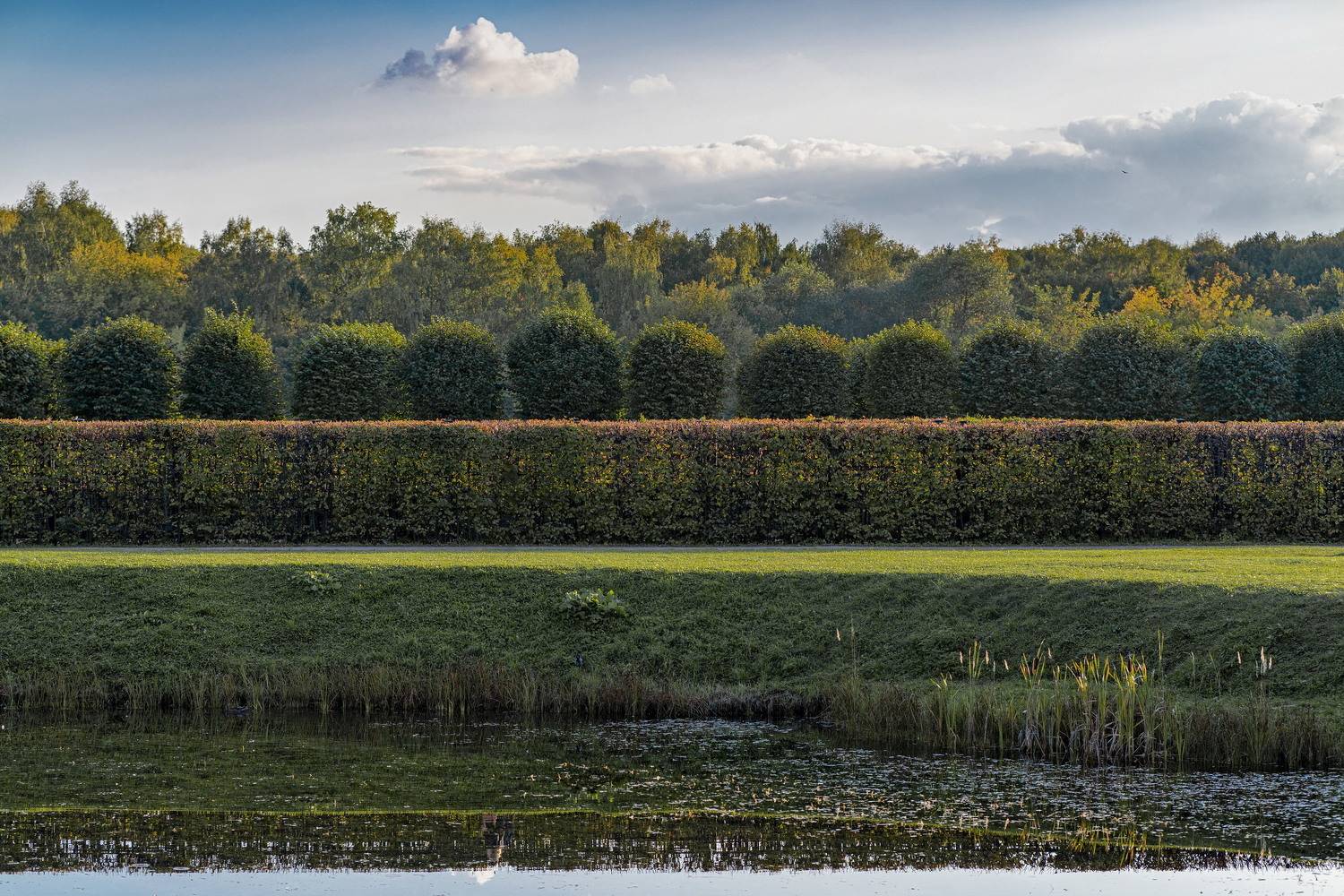 , Евгений Верещагин