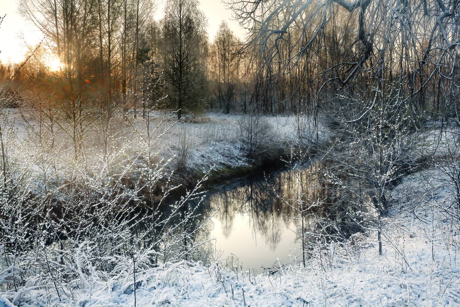 , Васенков Геннадий