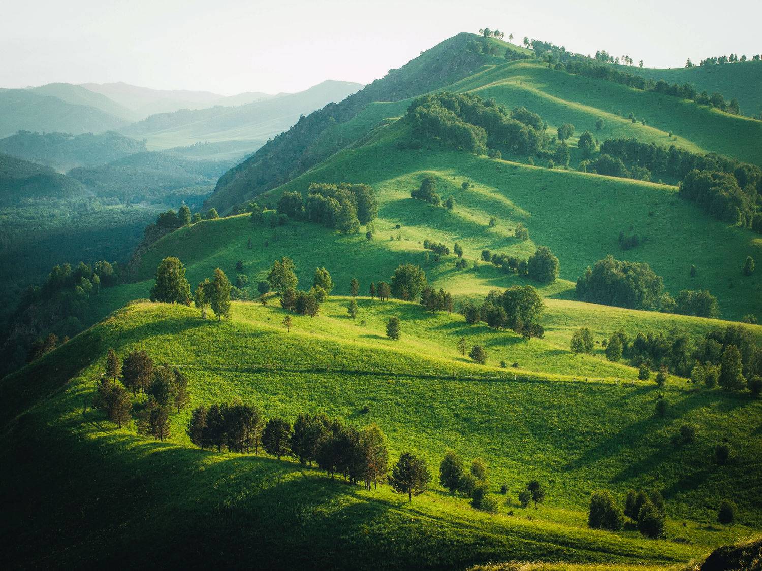 пейзаж, горы, алтай, зелёный, landscape, mountains, altay, green, Протченко Ирина