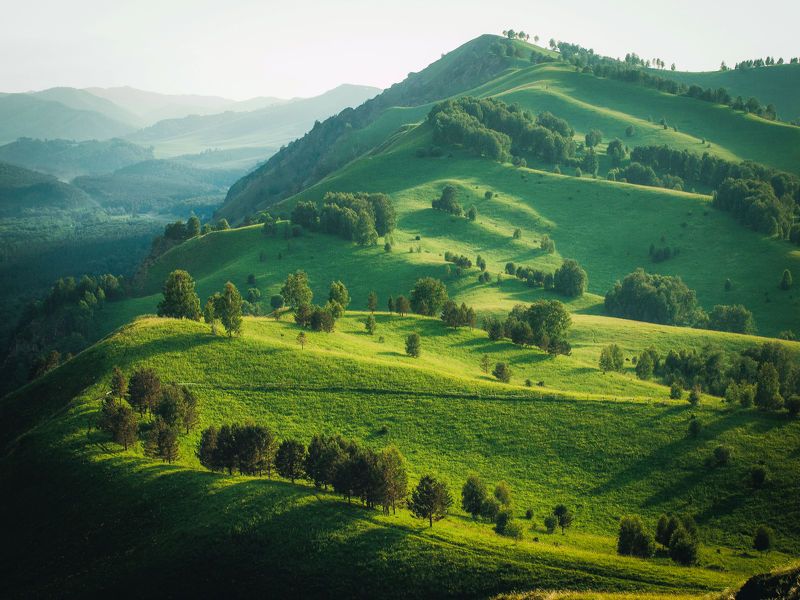 пейзаж, горы, алтай, зелёный, landscape, mountains, altay, green Алтайское фото превью