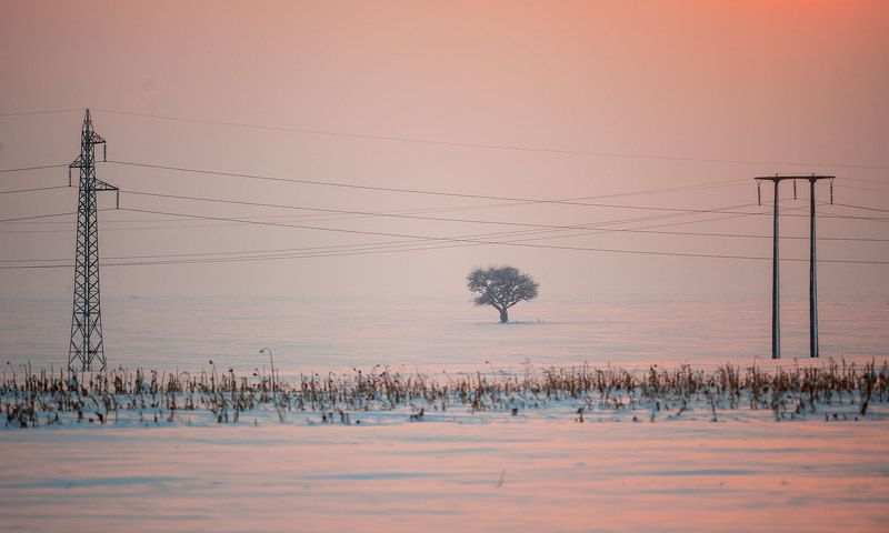 Merry Christmas :))) фото превью