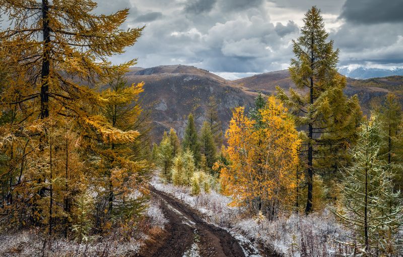 Прогулка по Курайскому хребту фото превью