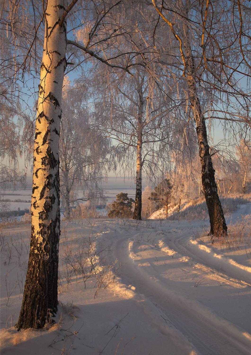 , Алексей Хахлов