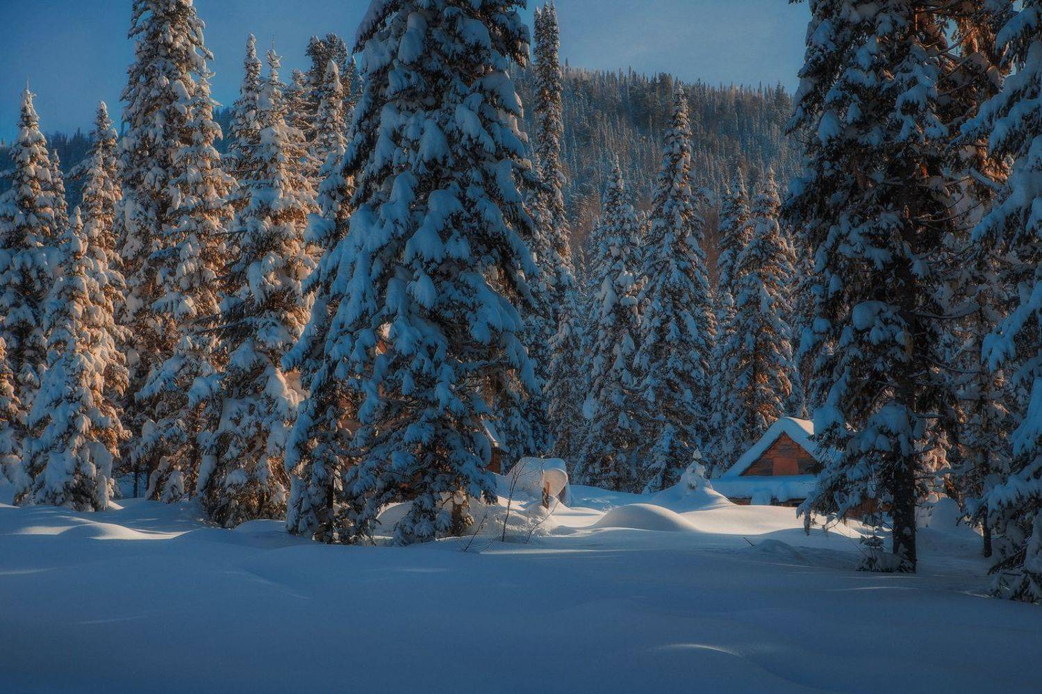 сибирь, кузбасс, природа, кузнецкий алатау, лес, горы, мороз, снегн, сугробы, Художников-Сухоребриков Павел