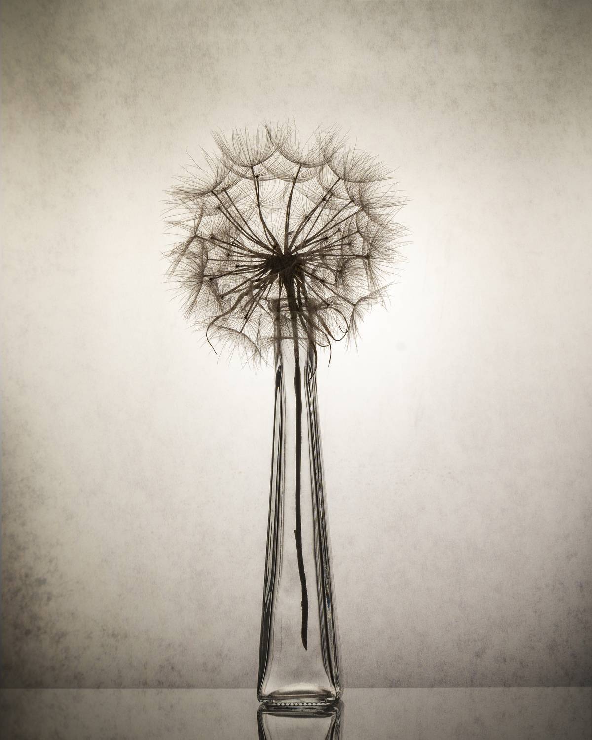 art, design, objects, light, standing, studio, still life, white, black, glass,, Anna Ilieva-Alikaj