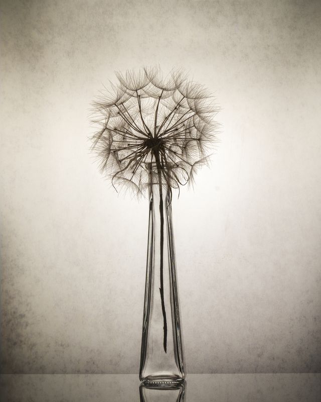 art, design, objects, light, standing, studio, still life, white, black, glass,  фото превью