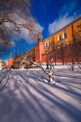 Зимний Александровский сад
