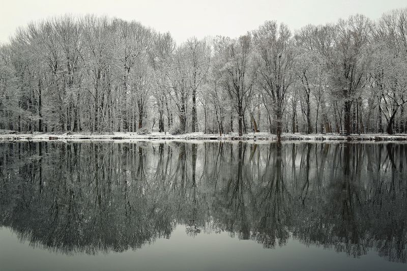 Reflection 4 фото превью