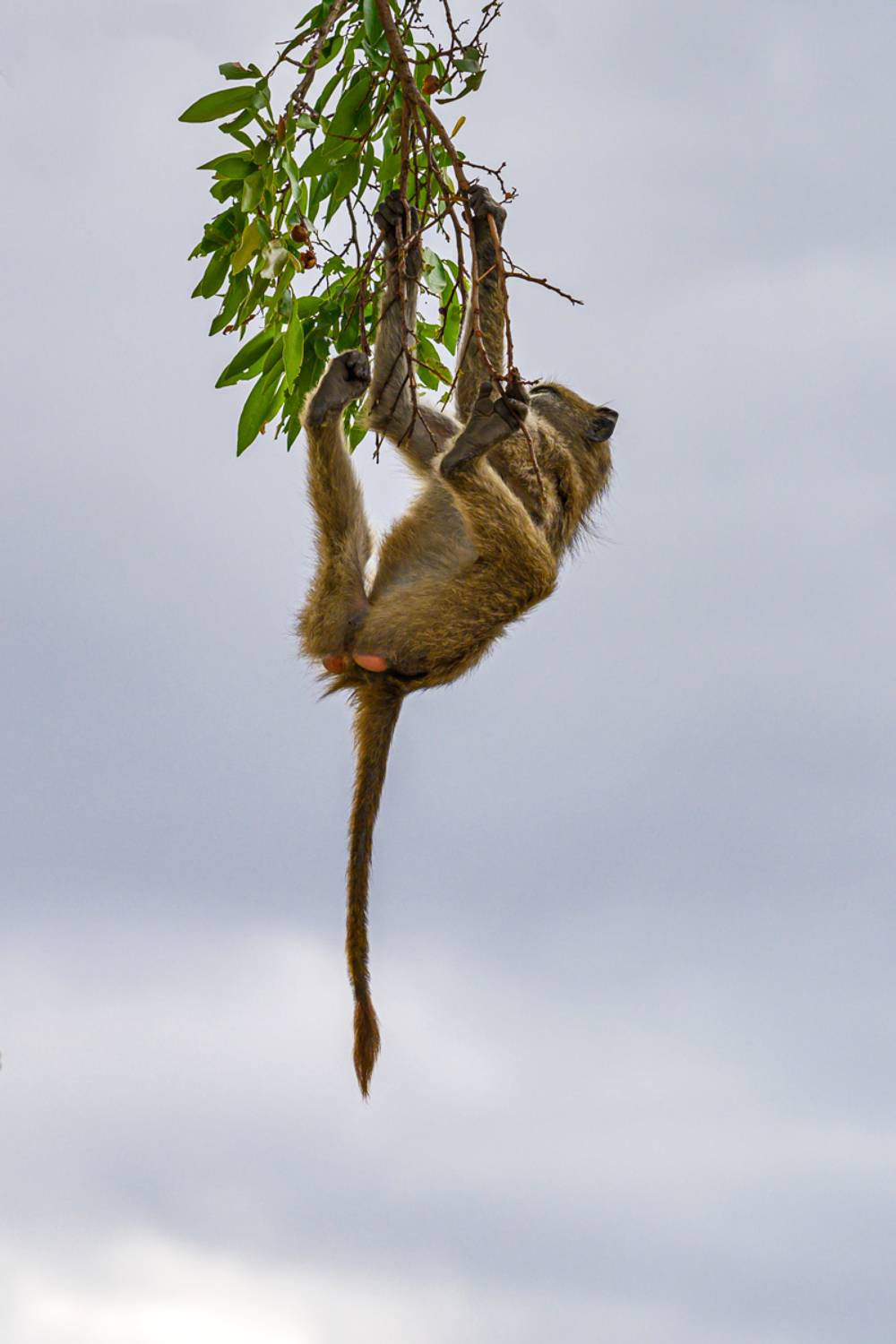 , Гордонов Юрий