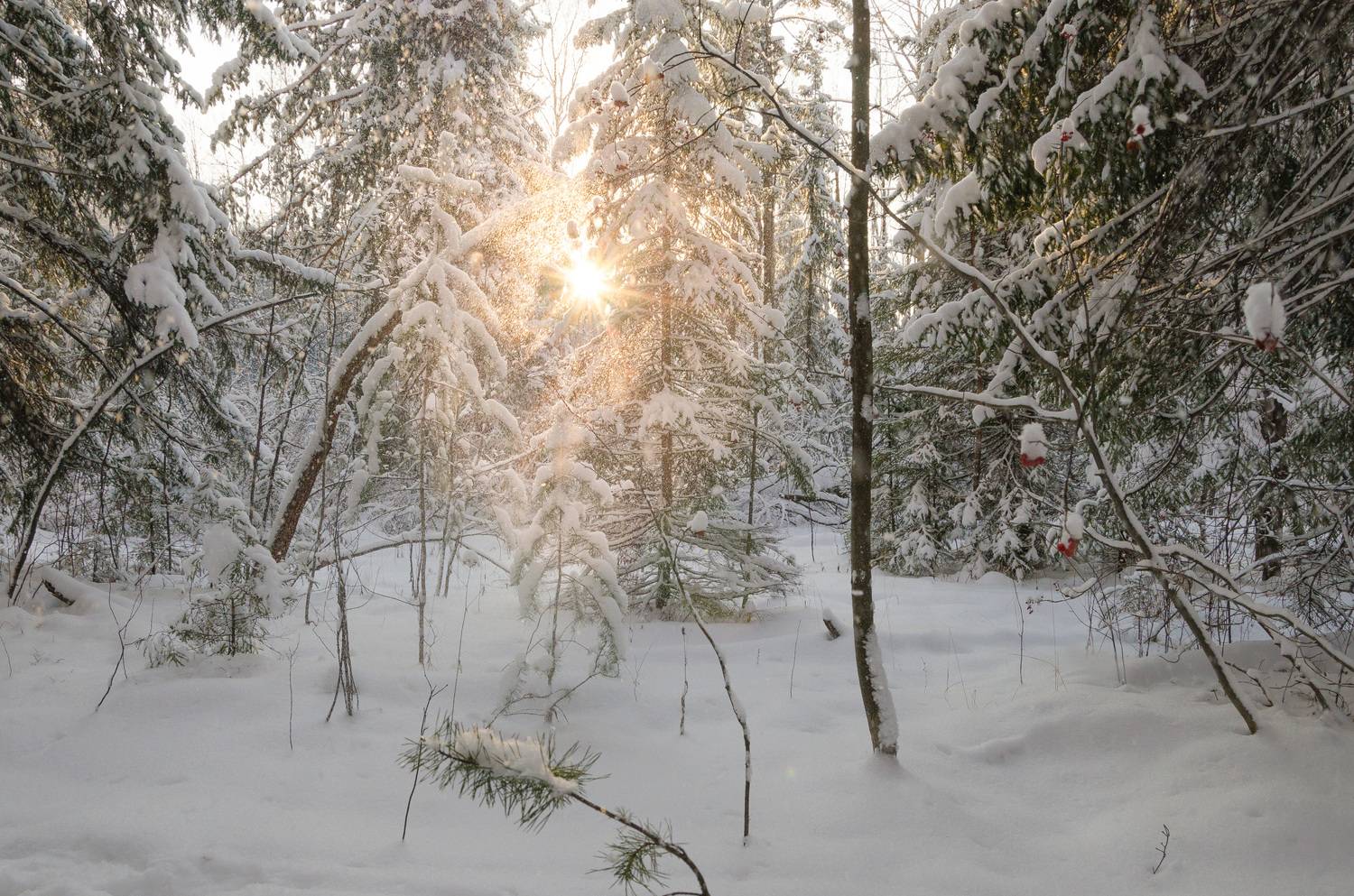 , Шустиков Дмитрий