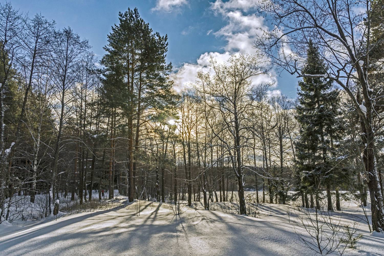, Шитов Александр