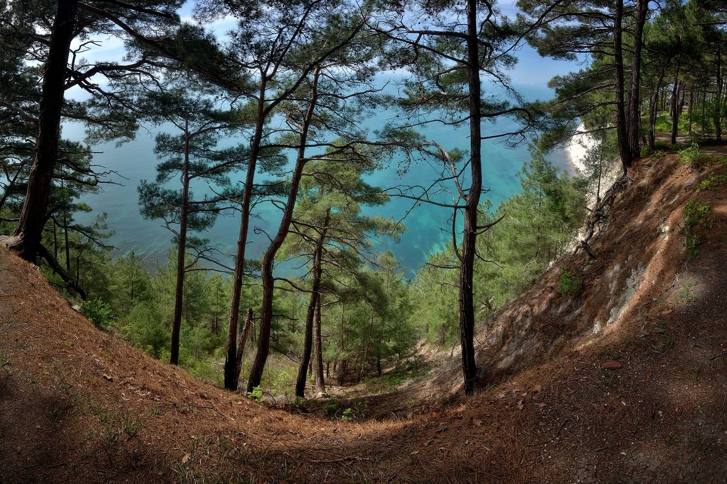 , Алексей Никонов