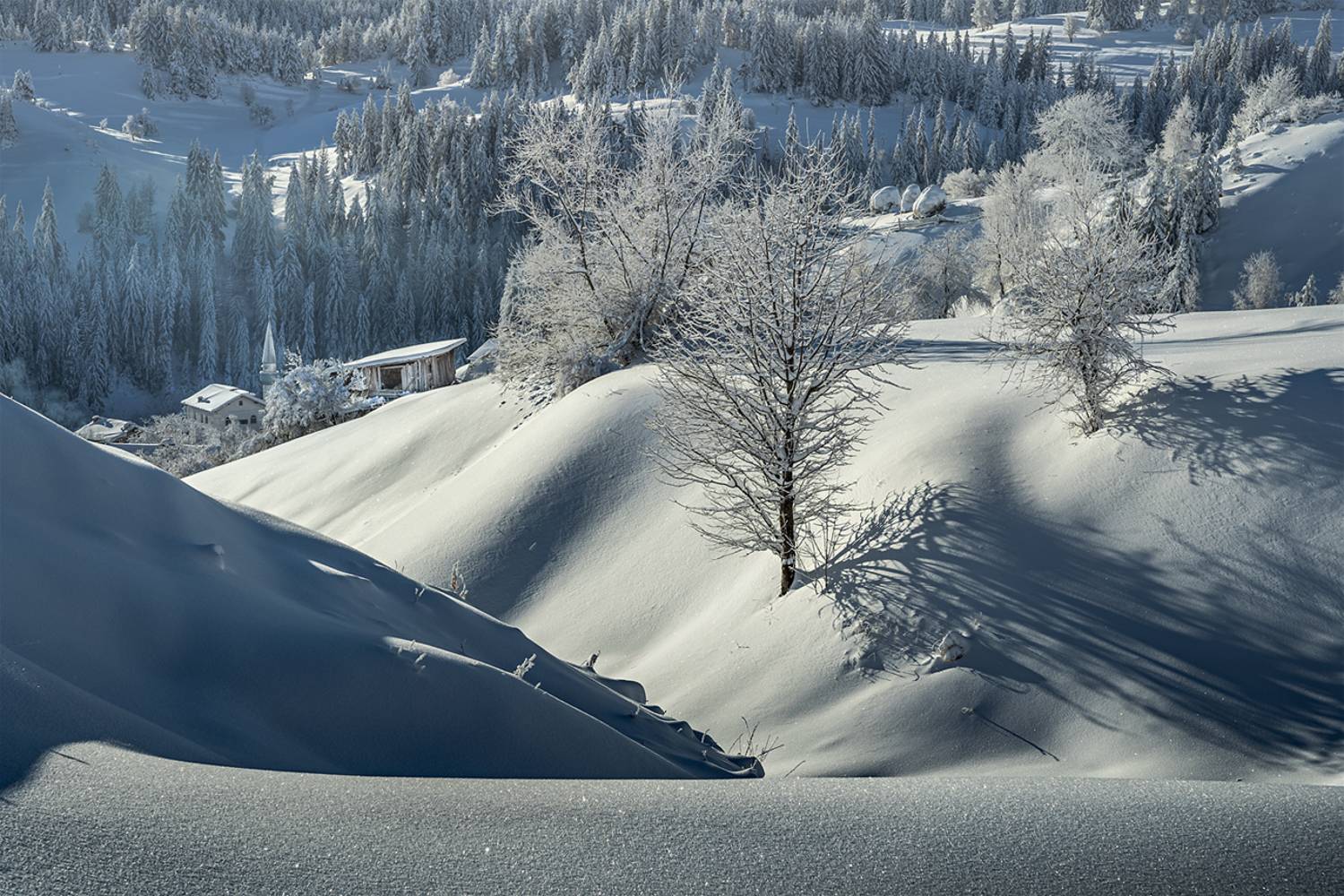 landscape, nature, scenery, winter, snow, shadows, idyllic, mountain, rodopi, bulgaria, Александров Александър