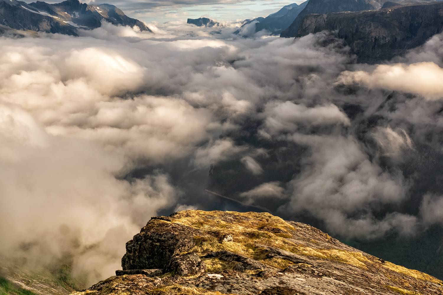 , Лариса Дука