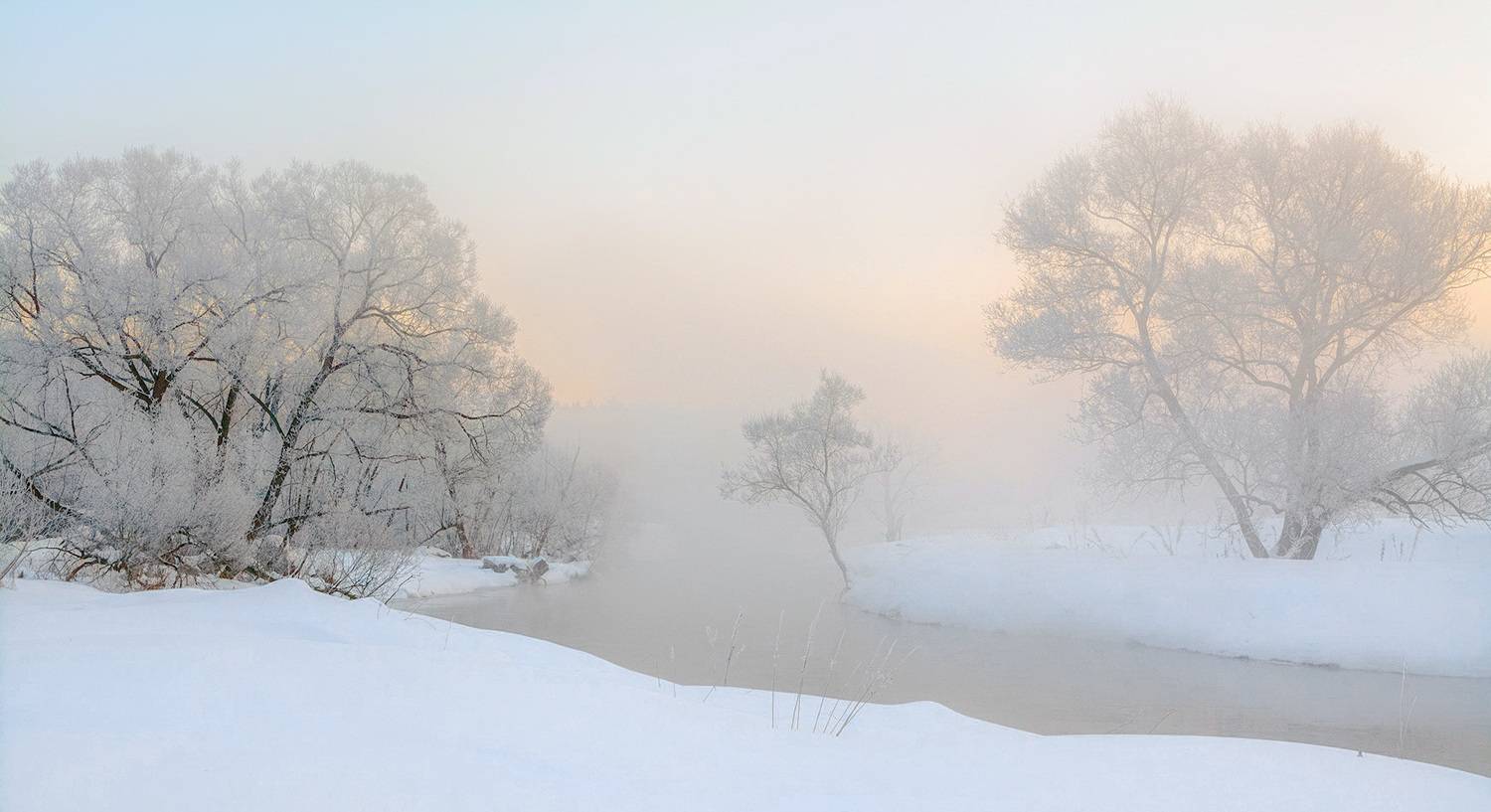, Анатолий Зверев