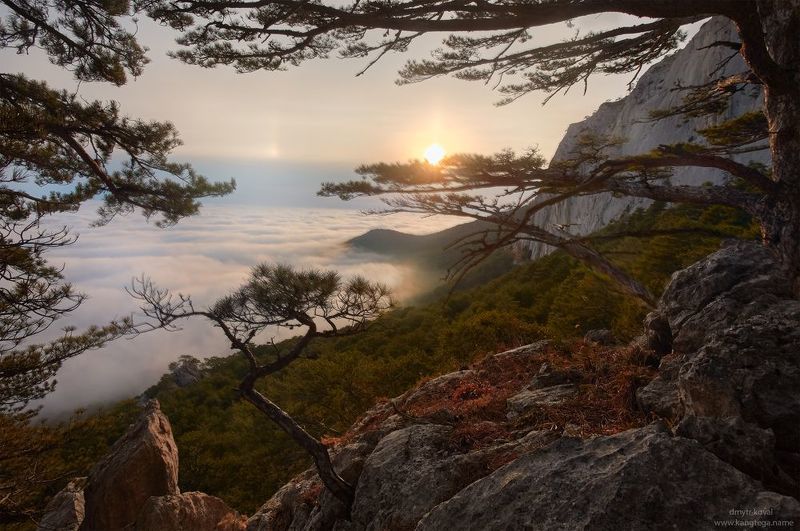 пейзажемагьё, пейзаж-как-виденье Дао Крымских гор… фото превью