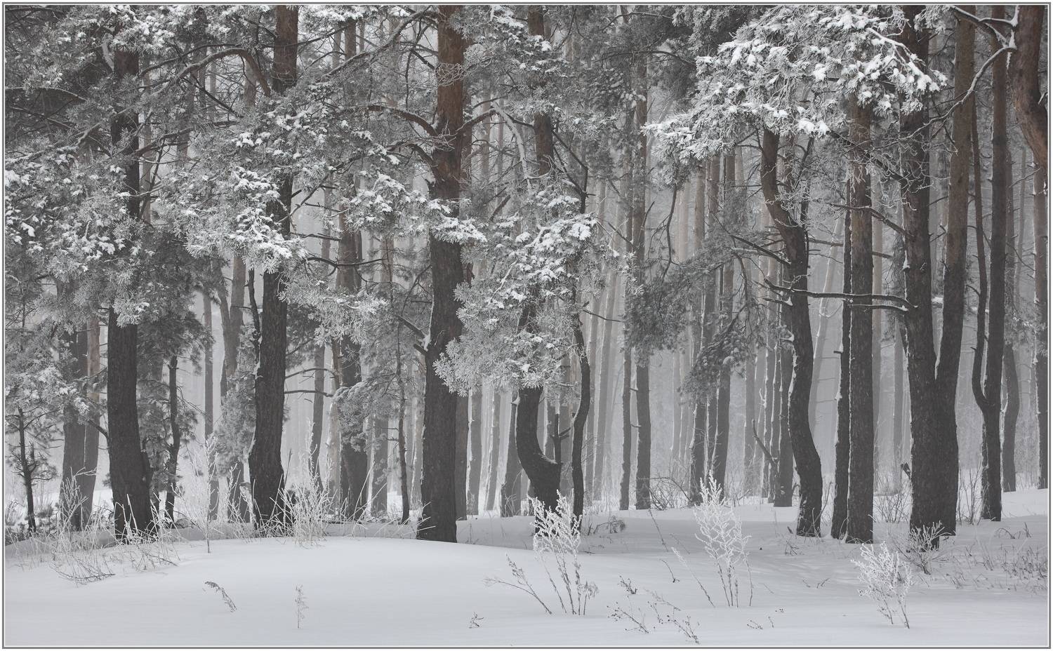 , Владимир Краснов