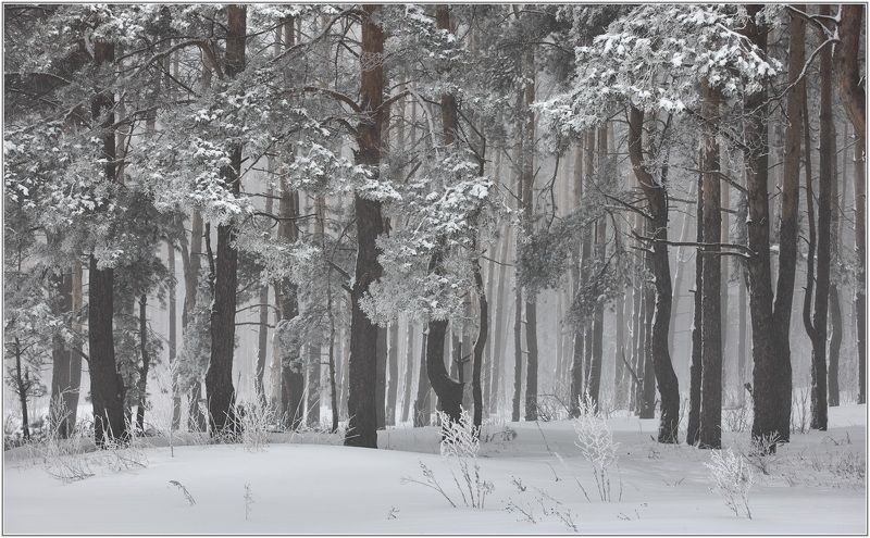 **** фото превью