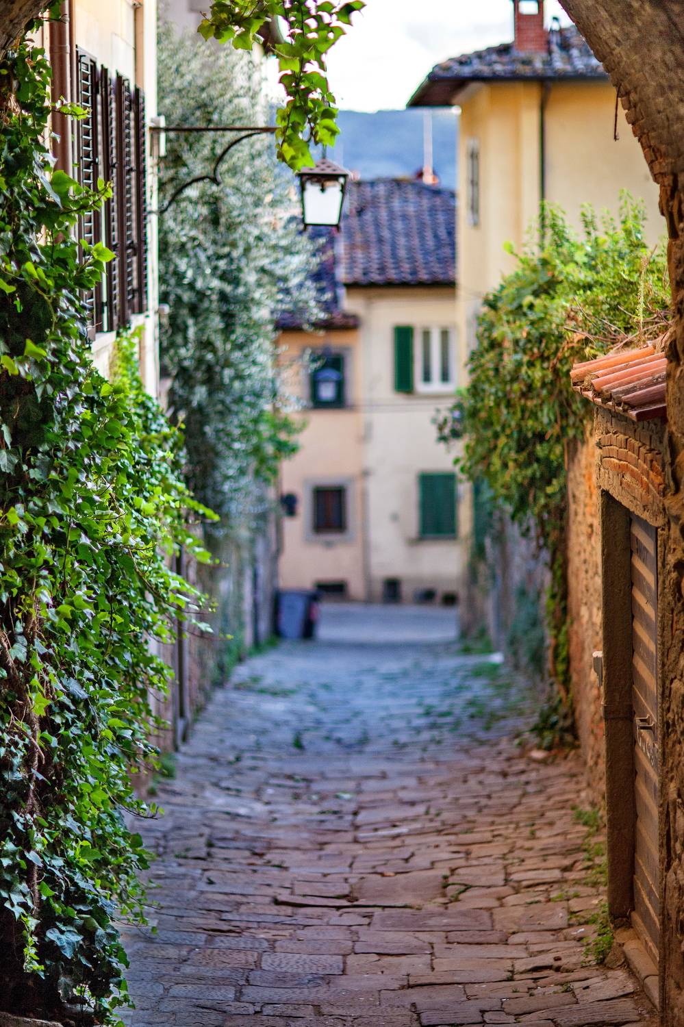 Arezzo Italy, Lilia Tkachenko