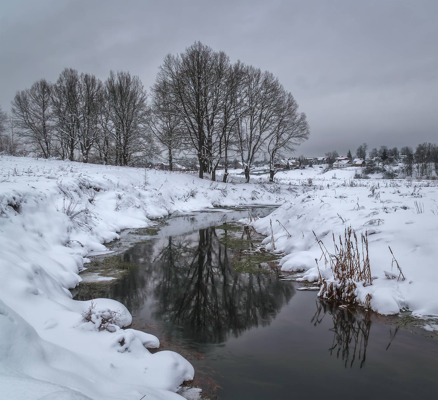 , Андреев Николай