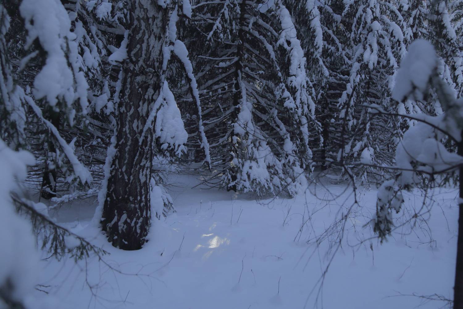 , Евгений Зинов