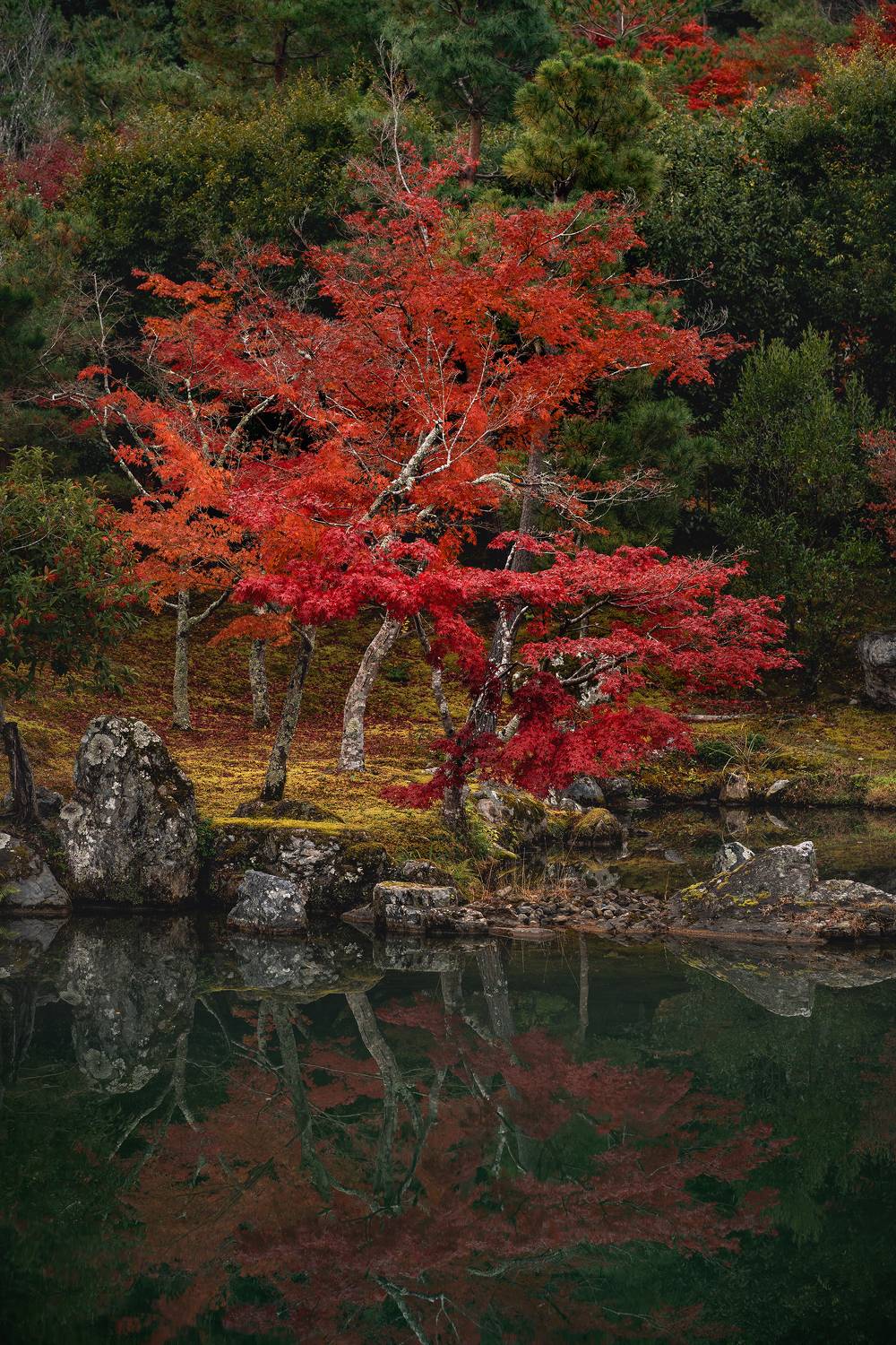 , Козаченко Алексей