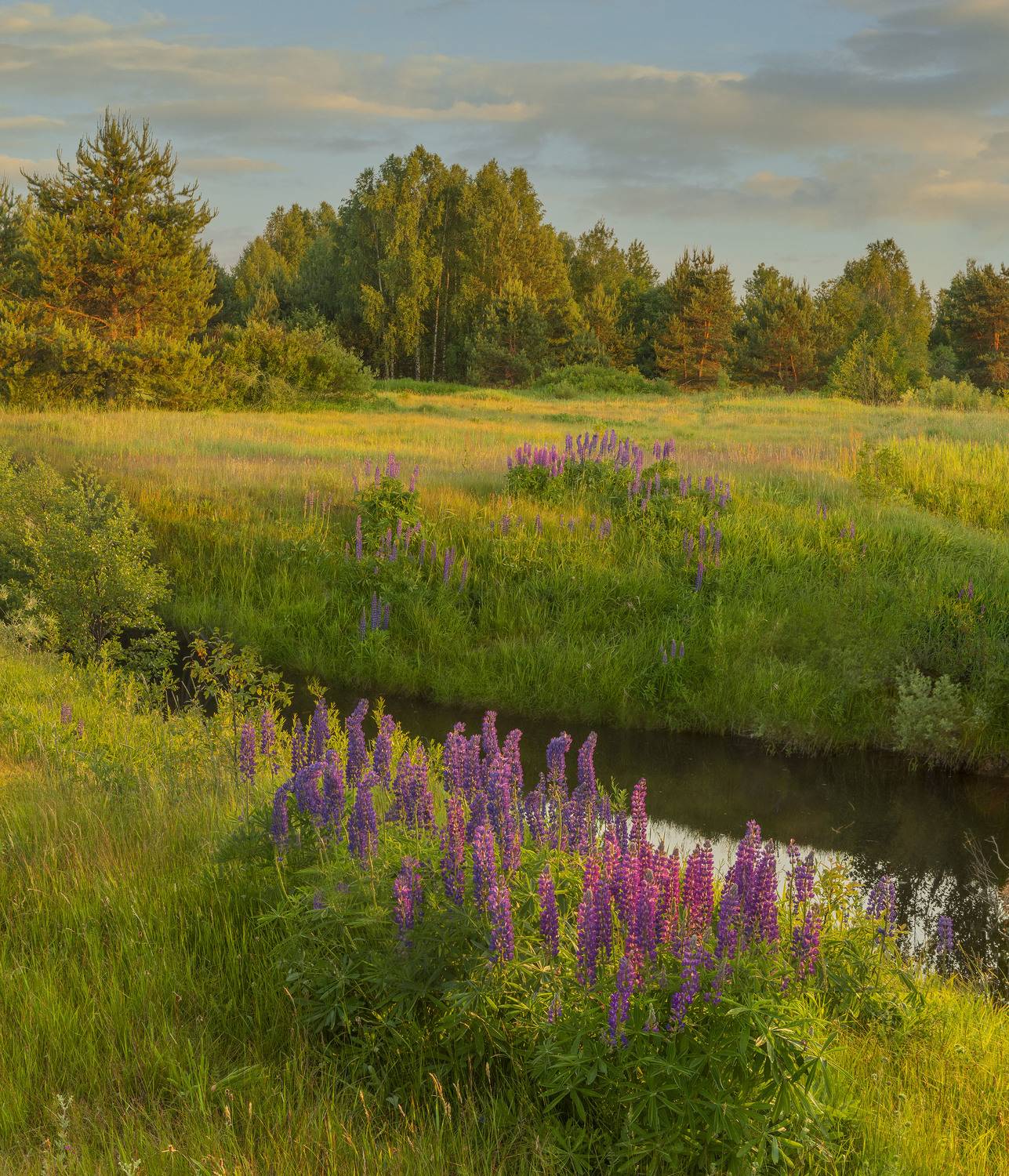 #topnature #russpasibo #magic_shots #lovelyRussia #sunset_vision #exclusive_sky  #exclusive_shots #loves_russia2 #photoarena_nature #nature_sultans #nature_perfection #rsa_sky #rsa_sunset #photorussia #rsa_naturepics #sunsetsRussia #landscape_Russia #love, Владимир Рябков