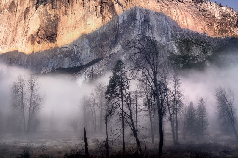 +++ фото превью