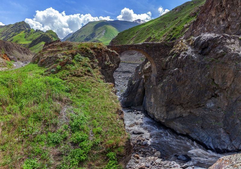 Фий фото превью