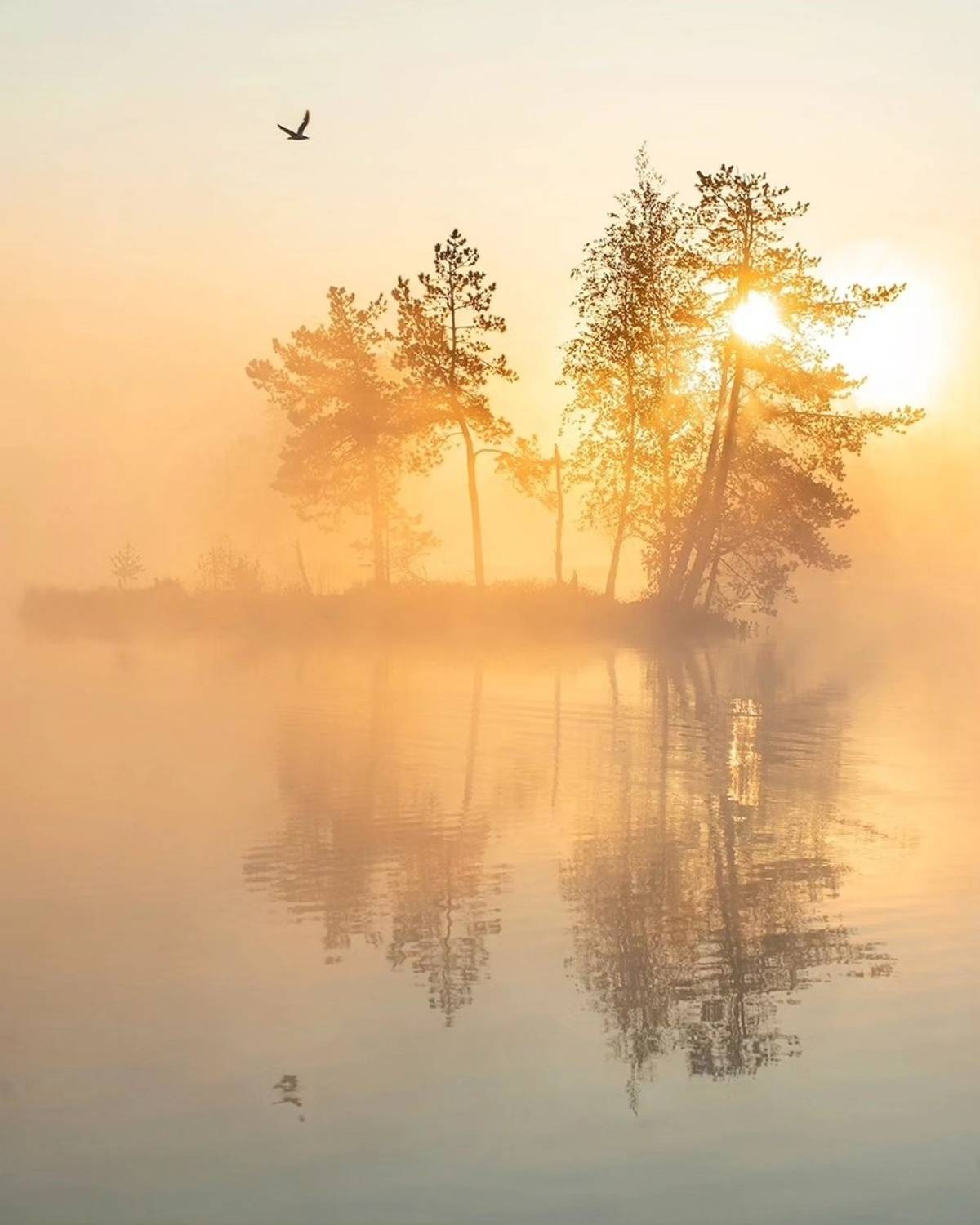 , Петр Косых