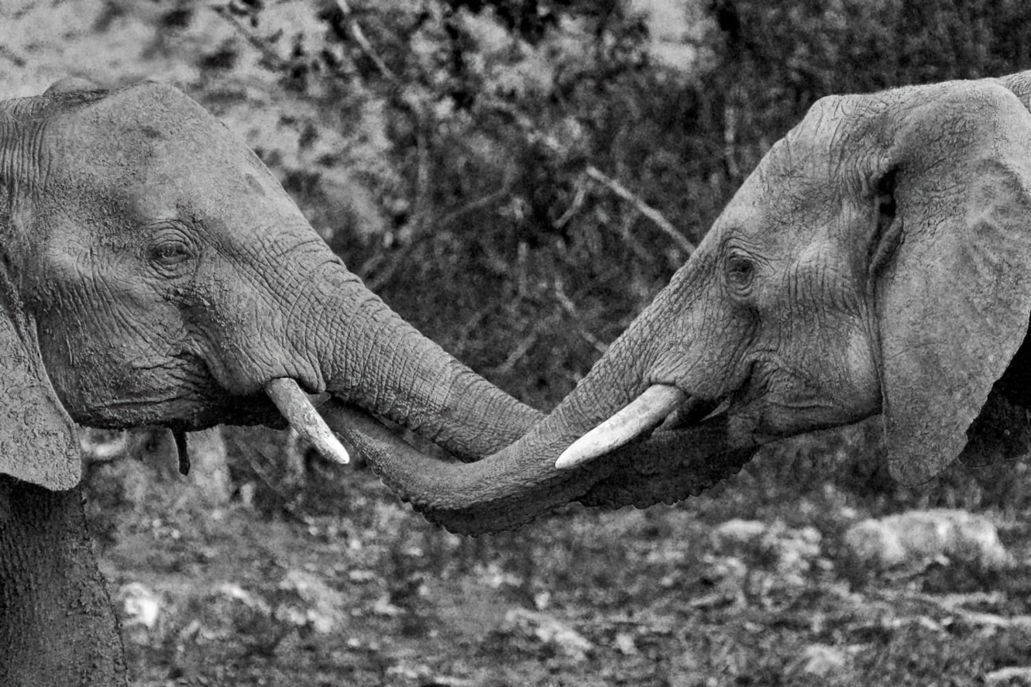 , Гордонов Юрий