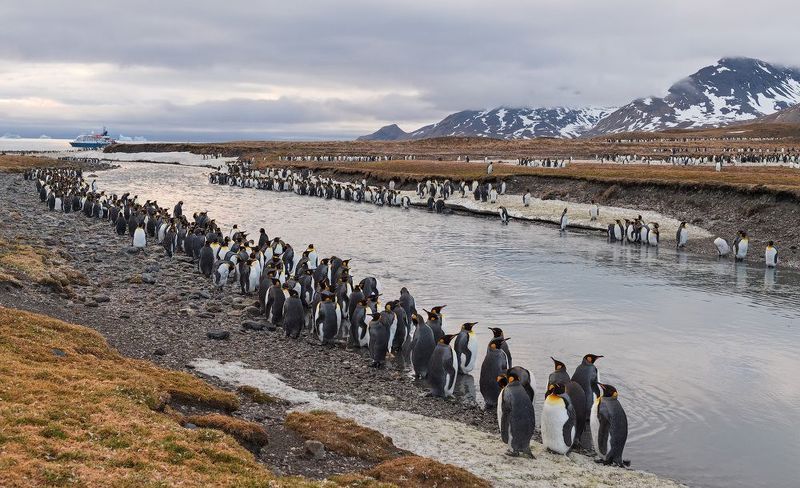 south, georgia На берегу безымянной реки фото превью
