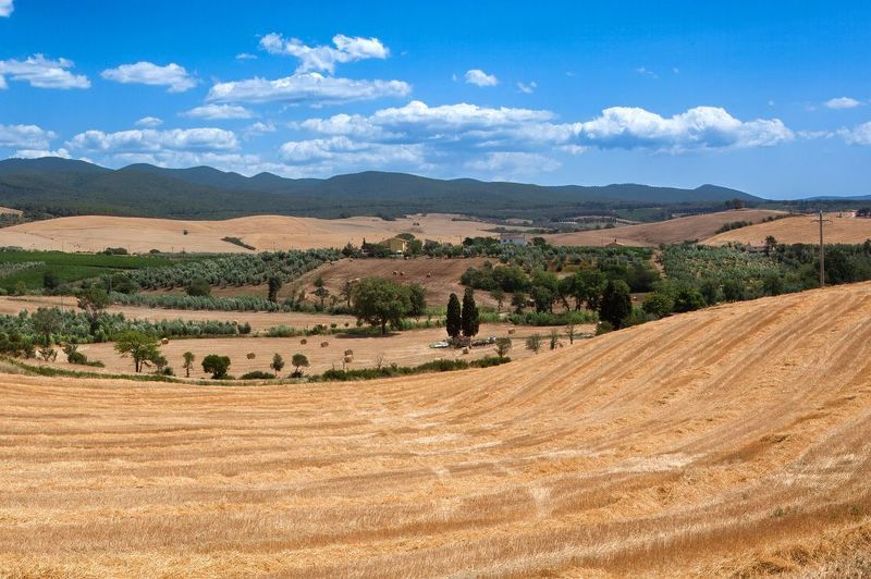Toskana фото превью