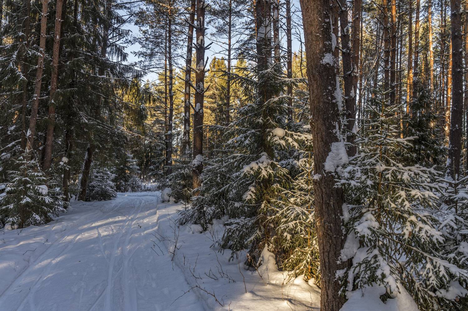 , Шитов Александр