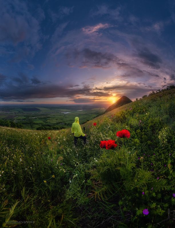 маки, кмв, кавминводы, бештау, верблюд, кавказ, реликтовые маки, закат Красота спасёт МИР... фото превью
