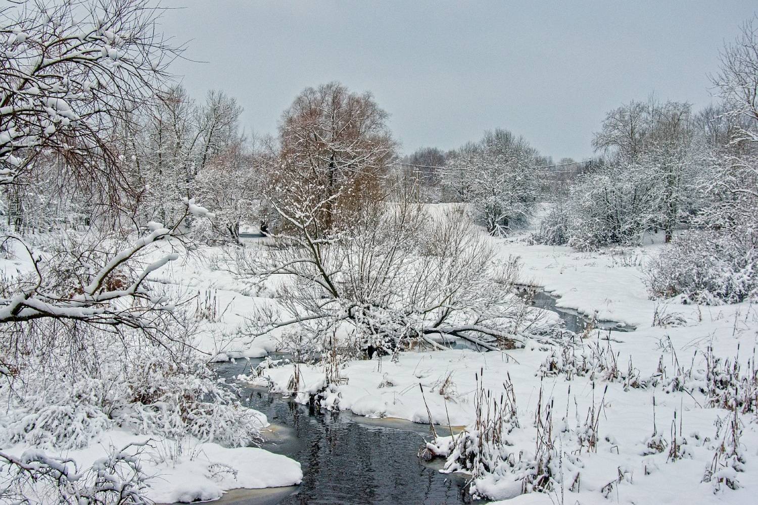 , Орлов Олег