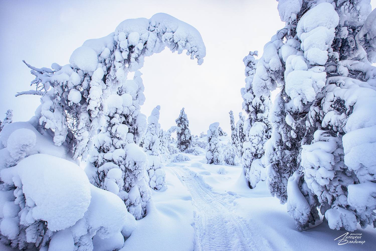 кольский, заполярье, кандалакша, Липецких Владимир