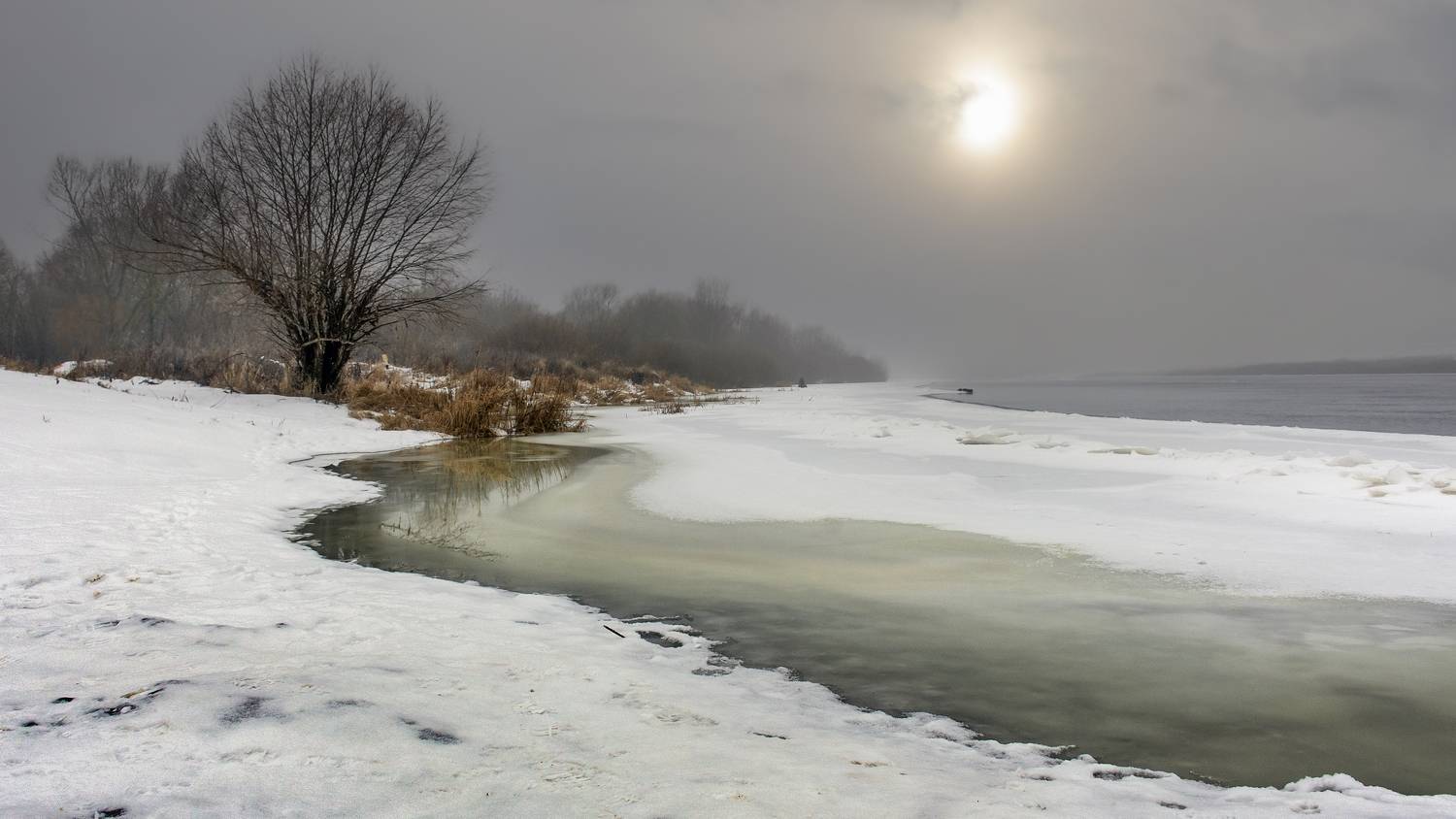 , Людмила Железнова