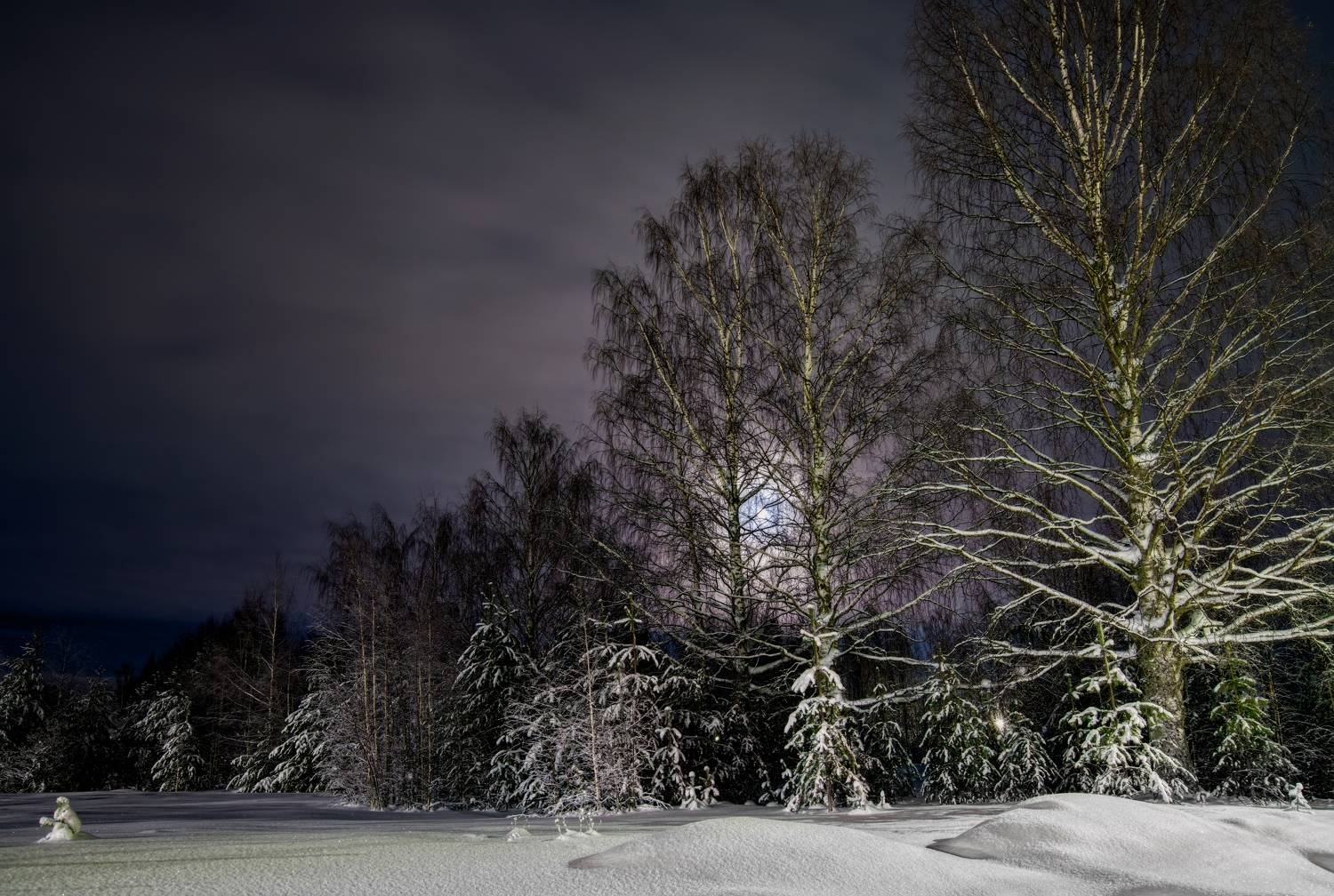 зима ночь луна фонарь снег берёза, Шишпанов Игорь