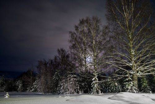 Зимний вечер