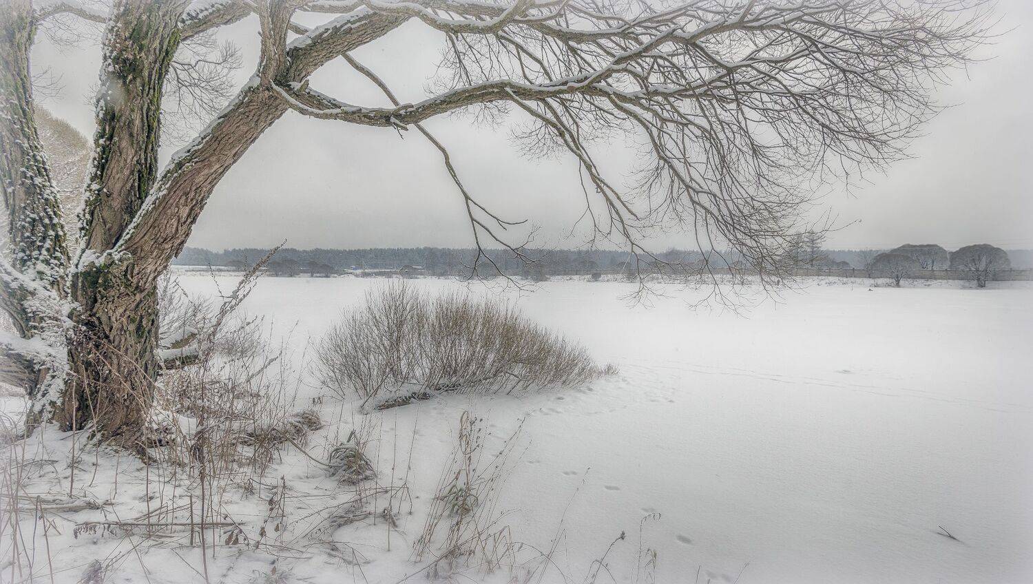 зима, снег, озеро, Сергей Аникин