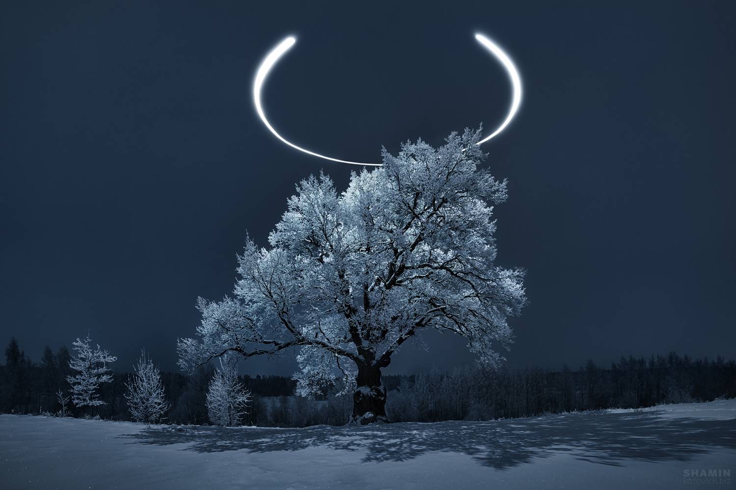 , Константин Шамин