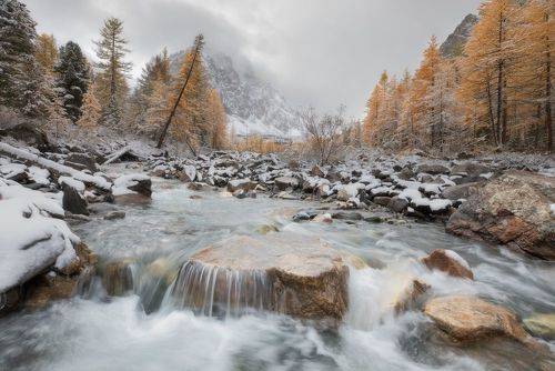 В хмуром настроении...
