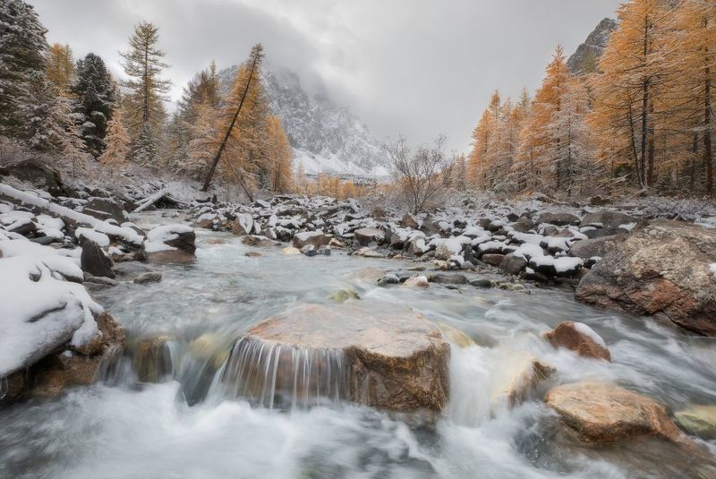 Актру, Ак-Туру, Актуру, Горный Алтай, лиственницы, первый снег, горы, Караташ  В хмуром настроении... фото превью