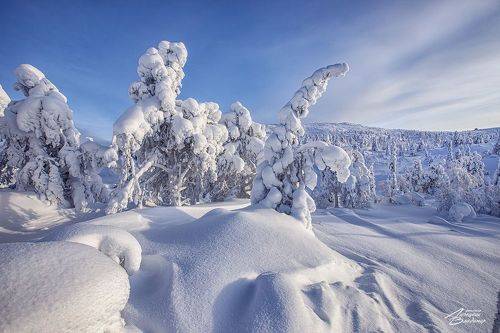 Зима на Кольском