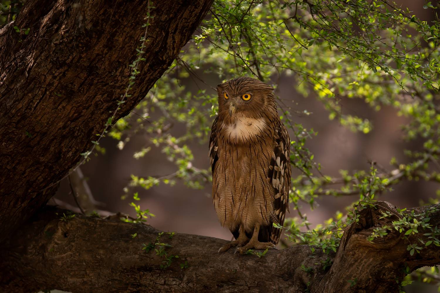 , Николай Мозгунов