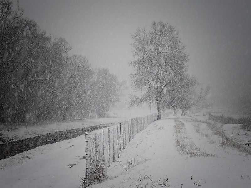 Winter is here 2 фото превью