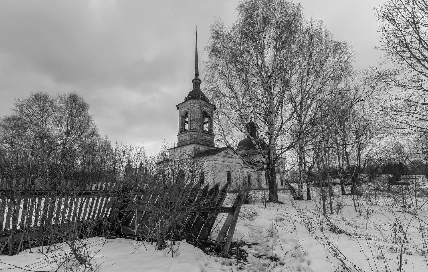 церковь, великий устюг, забор, берёзы,старый., Анкудинов Леонид